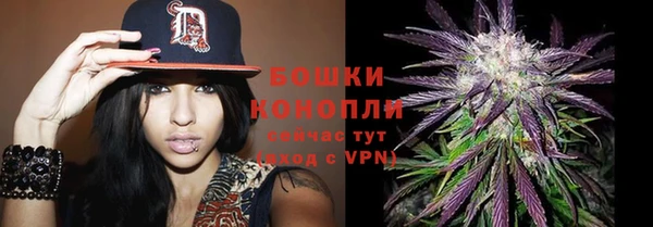 ГАЛЛЮЦИНОГЕННЫЕ ГРИБЫ Балабаново