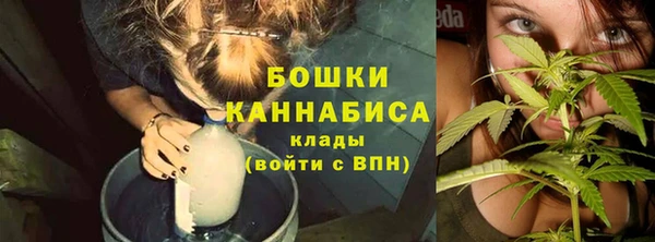 ГАЛЛЮЦИНОГЕННЫЕ ГРИБЫ Балабаново