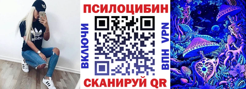 купить  цена  маркетплейс телеграм  Псилоцибиновые грибы Psilocybe  Кувандык 